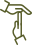 Fin